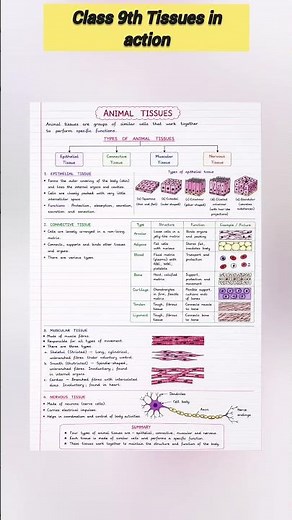 class 9th ch - 3 Tissues in action easy explanation notes 📝📌 #notes #class9