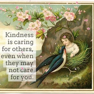 The Graphics Fairy on Reels