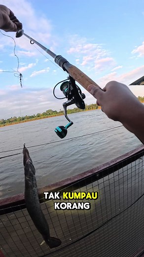 Grab Amazing Deals on Temu Products for RM9.90