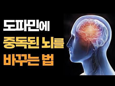 중독에서 벗어나는 지혜로운 방법 / 도파민네이션