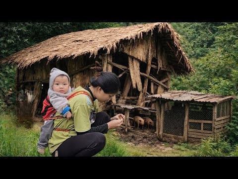 TIME LAPSE : 365days A Single Mother and Robet Build a Bamboo House from Scratch