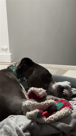 Enter Deep Sleep Mode