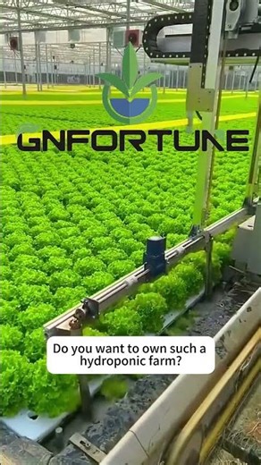 High-Quality Hydroponic Systems by G&N – Precision Farming for Modern Greenhouses