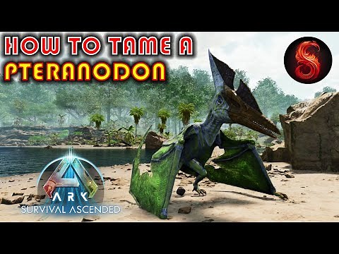 ARK SURVIVAL ASCENDED HOW TO TAME A PTERANODON