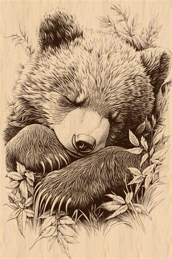 Silver Pack®! Sleeping Baby Bear Laser Engraving File PNG, JPEG High Resolution, Rustic Art  PNG_SVG_PDF_EPS(full-color vector format)