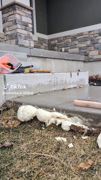 Landmark Lifting on TikTok