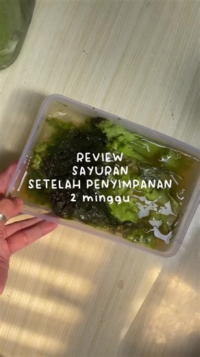 Toples Food Prep Lion Star - Best Tips for Food Storage