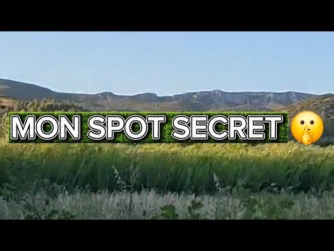 Bivouac en Fourgon Aménagé : Mon Spot Nature à Mérindol (Vaucluse) 🚐
