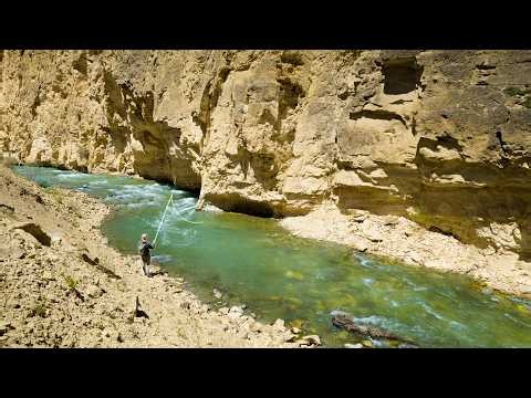 I Fished Every Type of Water in Montana!