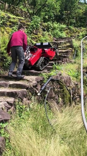 Triangular track gas engine lawn mower