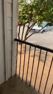 7.1K views · 51 reactions | TEXAS FLOOD: Heavy rain slammed Dripping...