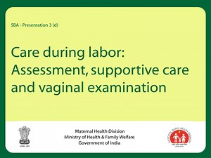 Care during labor: Assessment, supportive care and vaginal examination - SlideServe