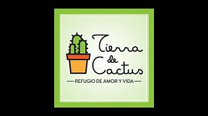 6.8K views · 73 reactions | OTOÑO EN TIERRA DE CACTUS Nuestros...