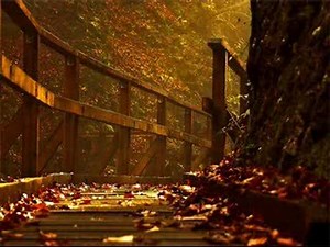 No Walls, No Ceiling, No Floors - Orsa Lia