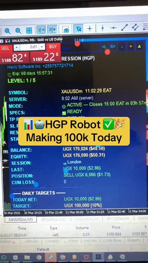 HGP Robot Making 100k Today #hgprobot #tatourial #havicsoftwareinc #hgpforexrobot #forextrading