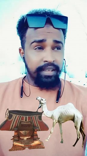 Camel Saddle Showcase: Artistry and Tradition