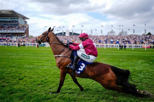 Public split on horse racing as Polanski calls for ban ahead