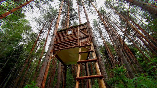 22K views · 226 reactions | Man Built a SHELTER in a Tree from Bears in 13 Days  Full video, comments ✅✅ | Survival Camping, Building Warm Bushcraft Pro | Facebook