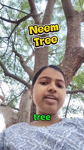 Tree Ka Use karke English Bolana Sikhe | Using Tree Learn English speaking