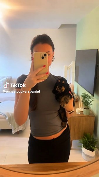 Getting so big!!🥺🐶 #dogsoftiktok #cockerspanielsoftiktok #puppy #6months #showcocker #blackandtan