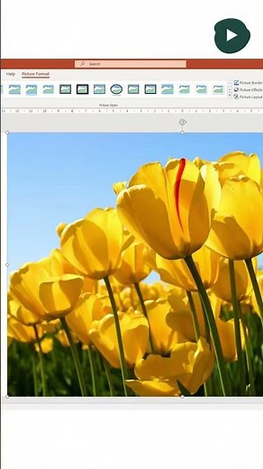 How to use the morph function in PowerPoint