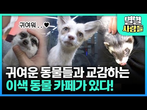 이색동물 교감카페?! 가지각색 귀엽고 신기한 동물들과 교감할 수 있는 곳~ 너무 귀여워😃🐾 [ 별별사람들 ]