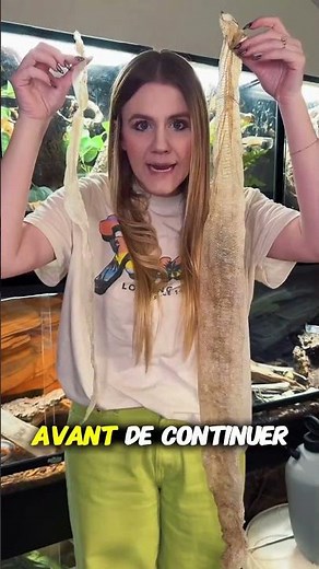 Pourquoi les Serpents Muent ? 😱🐍 La Vérité Choc !