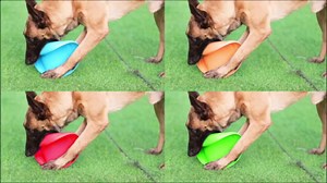 Dog Flying Disc - Durable Rubber Dog Toy for Fetch - Interactive Lightweight Flyer Dog Toys for Outdoor Playtime - Safer Disc for Healthy Activity - for Small/Medium Dogs 2 Pack