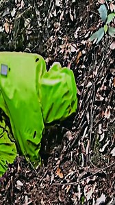 #bee #nature #bees #honey #macro #savethebees #flowers #beekeeping #naturephotography #beekeeper #honeybee #beesofinstagram #insects #photography #insect #flower #beehive #honeybees #biene #macrophotography #love #bumblebee #bienen #pollen #garden #honeycomb #art #pollinators #naturelovers #beekeepers | 10M