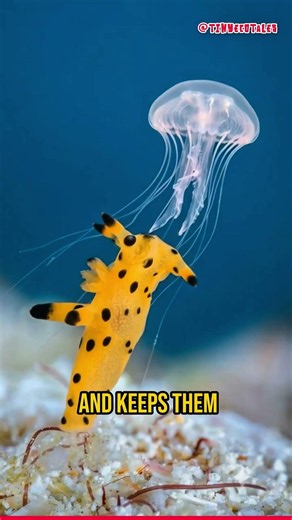 The REAL Pikachu Exists! (And It’s Dangerous) ⚡🌊 #tinyecotales