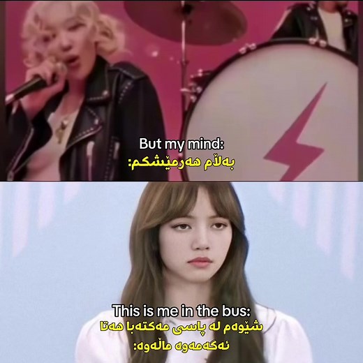 Bus Ride Shenanigans with Rosé