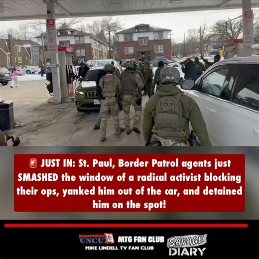 🚨 JUST IN: St. Paul, Border Patrol agents just SMASHED the window of a radical activist blocking their ops, yanked him out of the car, and detained him on the spot! | Marjorie Taylor Greene Fan Club