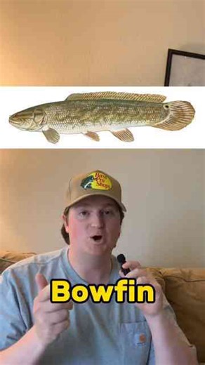 Can you identify all these fish? Test your knowledge!