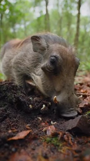 8K views · 48 reactions | In this reel, I recreated one of the most...