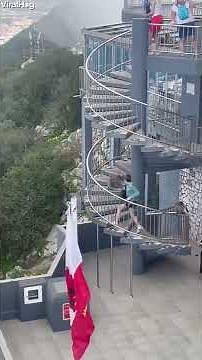 Monkeys Terrorise Tourists In Viral Video