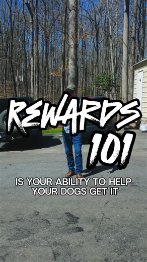 CJ Quick | Dog Behavior Coach on Instagram: "Motivation alone won’t get you all the way there. Real reliability comes from clear communication For dogs, that starts with physical guidance. When you help your dog understand what to do, success becomes repeatable, even when motivation is low. Rewards absolutely have a place, but only with intention. Timing and strategy matter. Rewarding at the wrong moment (or too much) can accidentally reinforce behaviors you don’t want. Teach first. Guide clearl