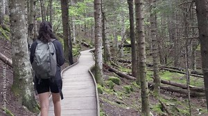 Girl alone with backpack hiking in a beautiful lush forest through a trail.