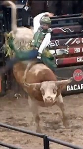 107K views · 1.5K reactions | 2019 PBR Summer Run | Jess Lockwood | Facebook