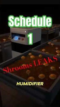 BIG Shrooms Update Coming? Schedule 1 LEAKS Explained