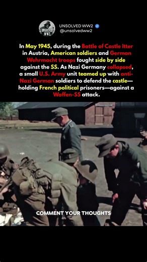 When Americans and Germans Teamed Up #ww2 #shorts #history