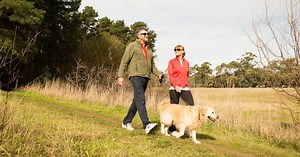 Everything you need to know about taking dogs in SA’s national parks