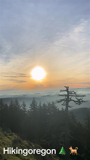 Oregon, #pnw #2025 #oregon #sunset #2026