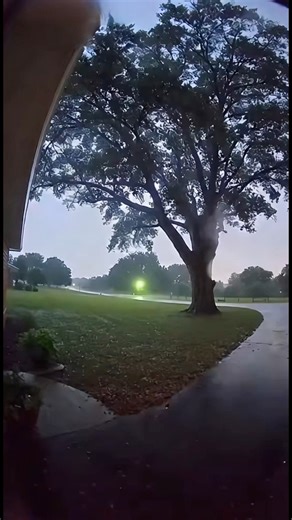 Surveillance footage captured a large tree being struck by lightning, exploding, and catching fire. | Street corner surveillance camera