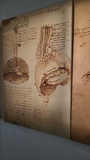spettacolari le invenzioni di Leonardo Da Vinci toccate con mano al Museo #ingegno #invenzioni