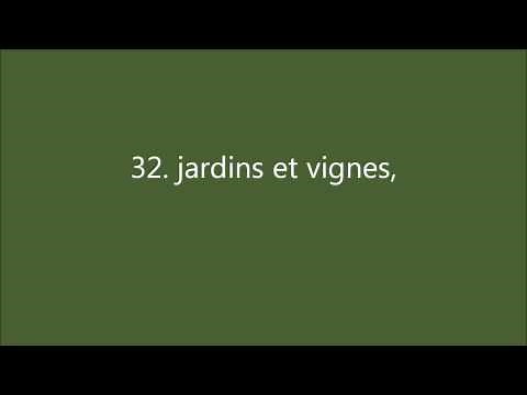 Coran : Sourate 78, An Naba (La Nouvelle) النّبَإِ