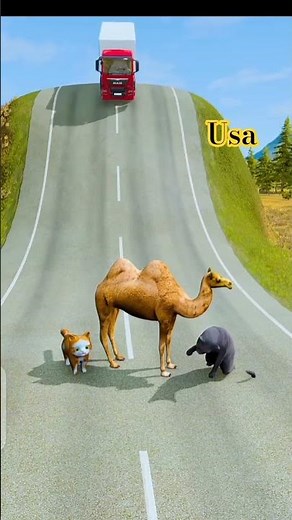 Big Camel & Small Cat's Model BeamNG Drive #beamngrao