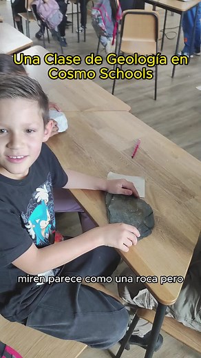 Este proceso se llama Permineralización. ¿Lo conocian? #ciencia #divulgacion #cristales #geologia #clase #minerales #curioso