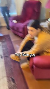 390K views · 5.2K reactions | Prank with grandpa 藍藍 #facebook | History Facts | Facebook