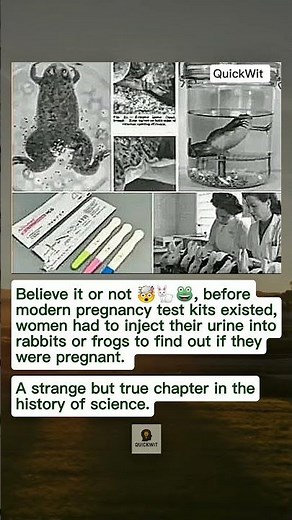 Before Test Packs: Pregnancy Tests Using Rabbits and Frogs