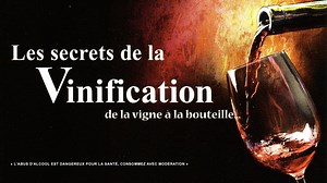 Les secrets de la fabrication du vin - La vinification